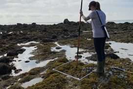 Accurate Positioning of Intertidal Quadrat