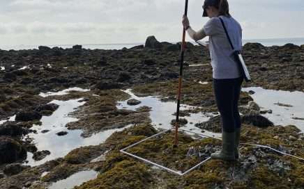 Accurate Positioning of Intertidal Quadrat